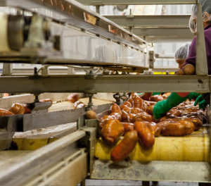 Agro-processing training provides knowledge on value addition and
processing of agricultural produce, including drying, milling, packaging, and quality control, enabling farmers to enhance the shelf life and market value of their products.