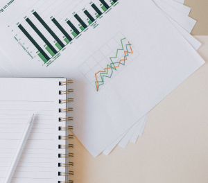 Financial Analyst