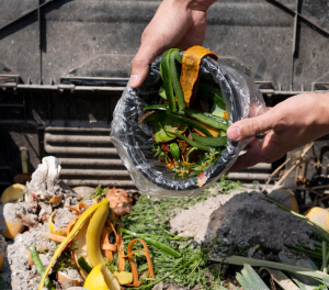 Vermicomposting is a way ofnatural composting of organic waste to valuable manure.
